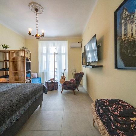 Sunlit Artist Studio Daire Belgrad Dış mekan fotoğraf