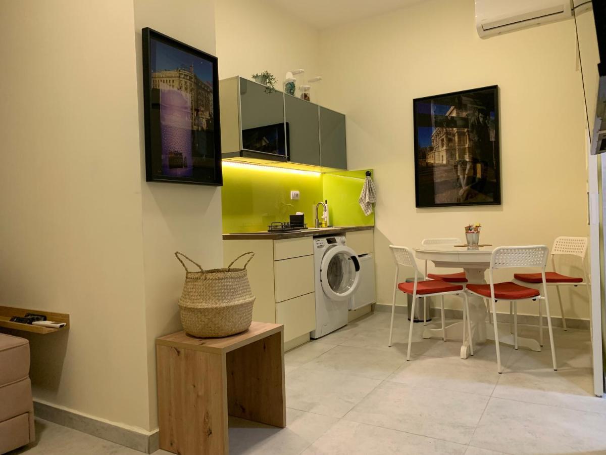 Sunlit Artist Studio Daire Belgrad Dış mekan fotoğraf