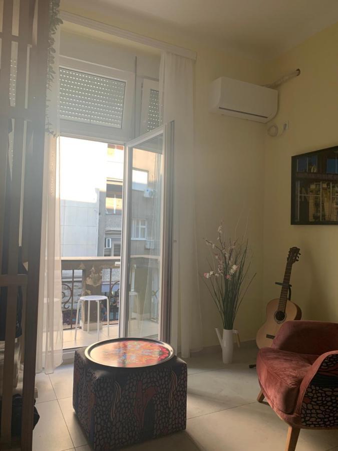 Sunlit Artist Studio Daire Belgrad Dış mekan fotoğraf